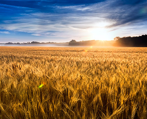 Image of KansasclientState