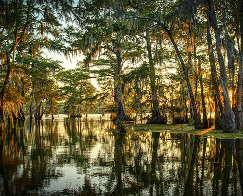 Image of LouisianaclientState