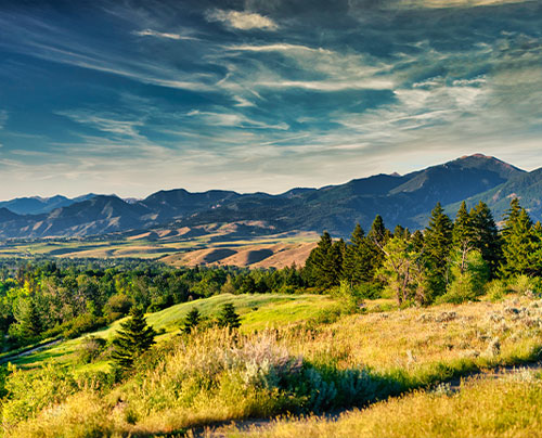 Image of MontanaclientState